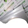 Aile avant gauche RENAULT LAGUNA II (BG0/1_) 1.9 dCi (BG08, BG0G) (120 hp) 29766956
