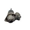 Startmotor MERCEDES-BENZ A-CLASS (W176) A 200 CDI / d (176.008) | BP29767009M8