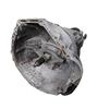 Used Gearbox MERCEDES-BENZ 190 (W201) 190 D (201.122) (72 hp) 29767071