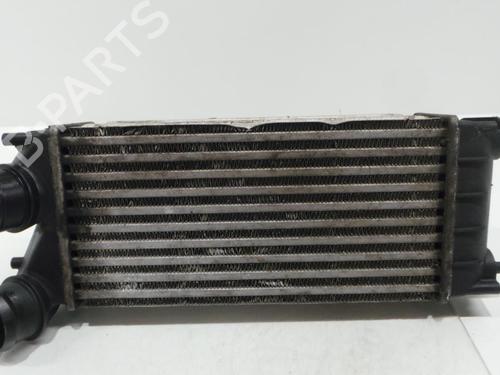 Intercooler-rør  PEUGEOT 3008 I MPV (0U_) 1.6 HDi (112 hp) 6930721