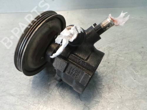 Steering pump FIAT PUNTO (176_) 60 1.2 (176AP, 176AR, 176AQ, 176BB) | BP25254M99 