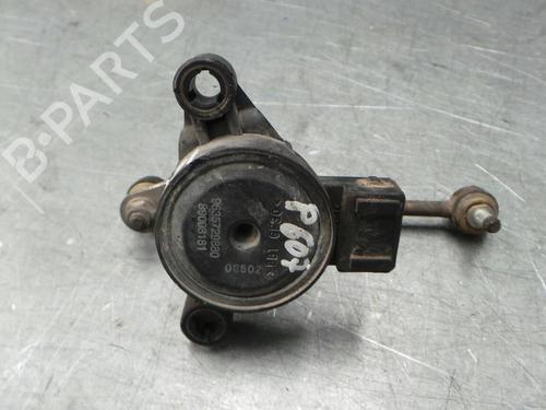 Elektronisk modul PEUGEOT 607 (9D, 9U) 2.2 HDi (133 hp) 254536