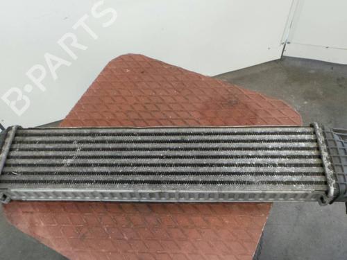 Ladeluftkühler FORD C-MAX (DM2) 1.8 TDCi | BP100977M30 