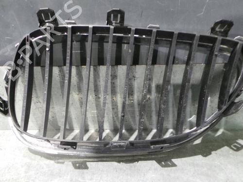 Grille BMW 5 Touring (E61) 520 d | BP2504254C40 