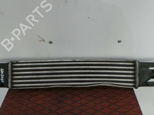 Intercooler FIAT PUNTO EVO (199_) 1.3 D Multijet (199AXC1A, 199BXC1A, 199AXT1A, 199BXT1A) BP165264M30