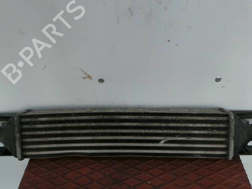 Intercooler FIAT PUNTO EVO (199_) 1.3 D Multijet (199AXC1A, 199BXC1A, 199AXT1A, 199BXT1A) | BP165264M30 