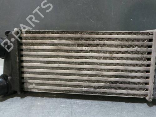 Intercooler PEUGEOT 307 Break (3E) 1.6 HDi | BP1008295M30 