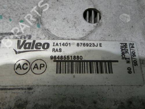 Intercooler PEUGEOT 307 Break (3E) 1.6 HDi | BP1008295M30 