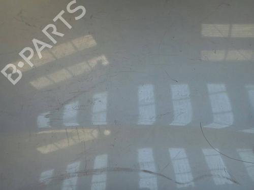 Hood LAND ROVER FREELANDER I (L314) 2.0 DI 4x4 | BP28932C1 