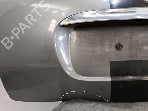 Tailgate MINI MINI (R50, R53) | BP12215840C6