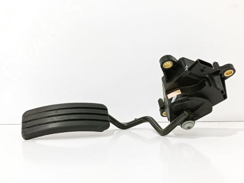Pedal RENAULT CLIO III (BR0/1, CR0/1) 1.2 16V (BR02, BR0J, BR11, CR02, CR0J, CR11) (75 hp) 13731408