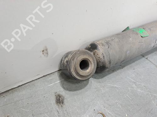 Left rear shock absorber RENAULT MASTER III Van (FV) 2.3 dCi 125 RWD (FV0C, FV0D, FV0H, FV0J, FV0A, FV0K) | BP19575254M18 