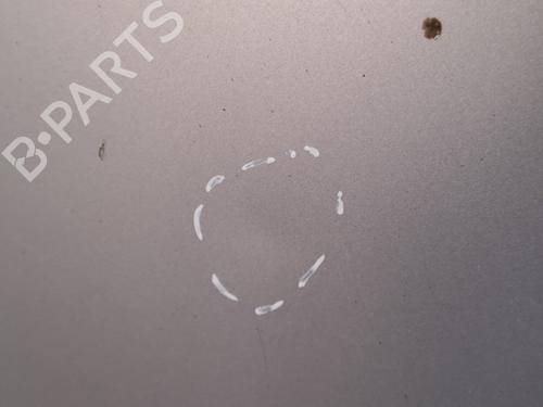 Motorhaube RENAULT MEGANE II (BM0/1_, CM0/1_) 1.5 dCi (BM1E, CM1E) | BP19583956C1