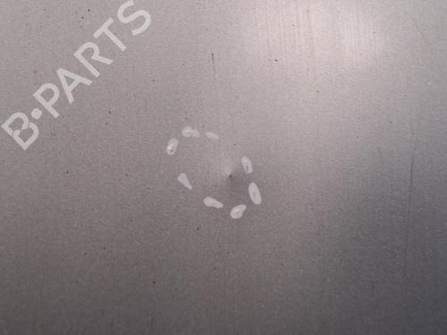 Motorhaube RENAULT MEGANE II (BM0/1_, CM0/1_) 1.5 dCi (BM1E, CM1E) | BP19583956C1