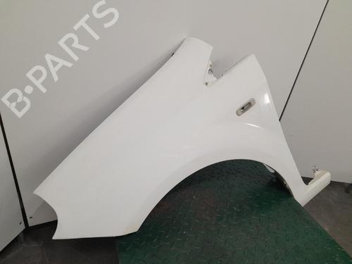Left front fenders FIAT GRANDE PUNTO Van (199_) 1.3 JTD Multijet (199CXC1A) | BP21556301C41 