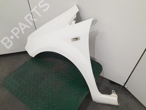 Left front fenders FIAT GRANDE PUNTO Van (199_) 1.3 JTD Multijet (199CXC1A) | BP21556301C41 