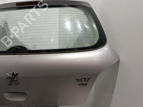Bagklap CC/Kombi-Coupé PEUGEOT 307 (3A/C) 1.6 HDi 110 | BP21821308C6
