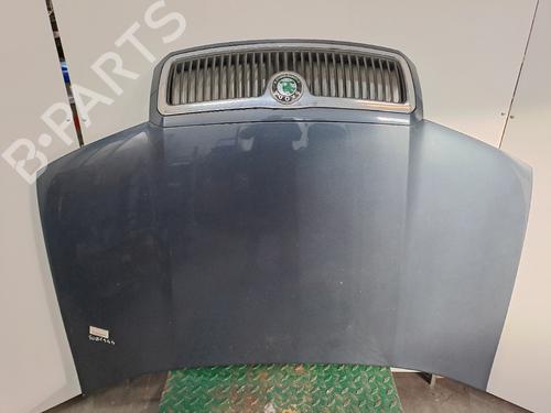 hood-skoda-fabia-i-combi-6y5-2000-2001-2002-2003-2004-2005-2006-2007-23041447 main image