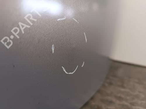 Hood RENAULT MEGANE II (BM0/1_, CM0/1_) 1.4 16V (BM0B, CM0B) | BP24959883C1