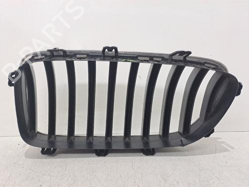 Grille BMW 5 Touring (F11) 520 d | BP25147280C40