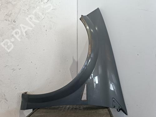 Left front fenders RENAULT MEGANE II Estate (KM0/1_) 1.5 dCi (KM1F) BP26133181C41