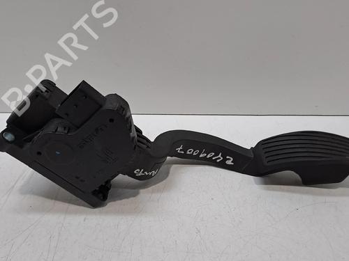Pedal FIAT PUNTO EVO (199_) 1.4 (199AXB1A) | BP28315844I4 