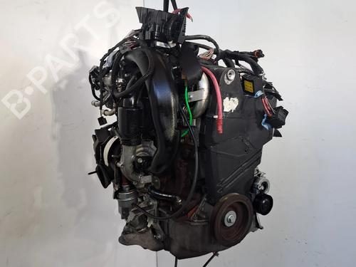 Motor RENAULT MEGANE III Hatchback (BZ0/1_, B3_) 1.5 dCi (BZ09, BZ0D, BZ1W, BZ29, BZ14) | BP29166106M1