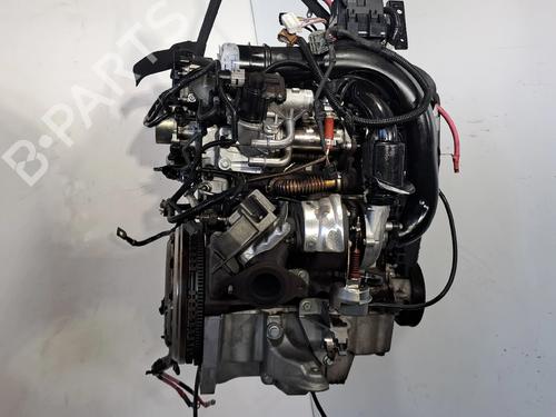 Motor RENAULT MEGANE III Hatchback (BZ0/1_, B3_) 1.5 dCi (BZ09, BZ0D, BZ1W, BZ29, BZ14) | BP29166106M1
