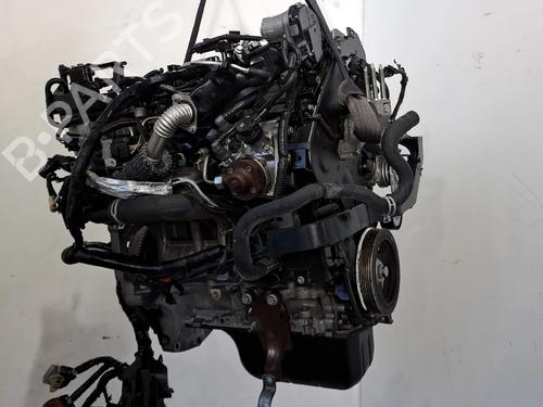 Motor FORD FIESTA VI (CB1, CCN) 1.4 TDCi | BP29166110M1