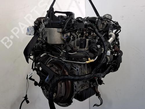 Motor FORD FIESTA VI (CB1, CCN) 1.4 TDCi | BP29166110M1