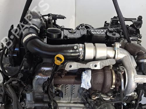 Motor FORD FIESTA VI (CB1, CCN) 1.4 TDCi | BP29166110M1