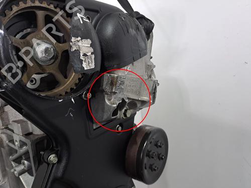 Motor FORD FIESTA VI (CB1, CCN) 1.25 | BP29911970M1