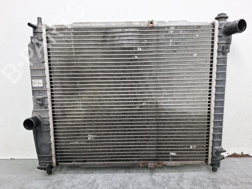 Used Water radiator CHEVROLET AVEO / KALOS Hatchback (T200) 1.2 (72 hp) 30377416