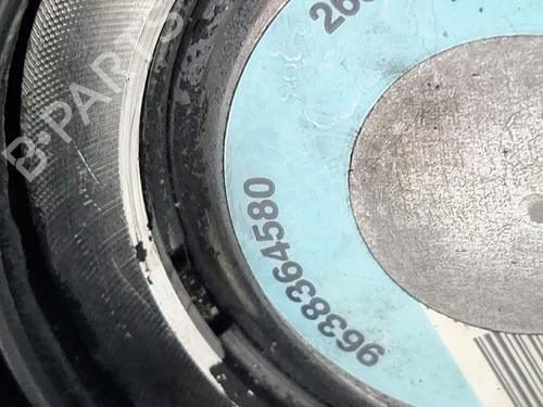 Steering pump PEUGEOT 206 Hatchback (2A/C) 1.4 HDi eco 70 | BP30941617M99 