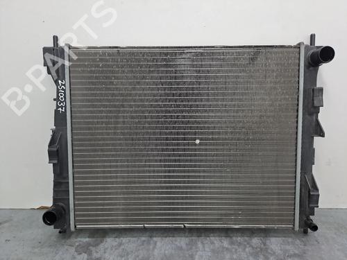 Used Water radiator RENAULT CLIO III (BR0/1, CR0/1) 1.2 16V (BR02, BR0J, BR11, CR02, CR0J, CR11) (75 hp) 31161482