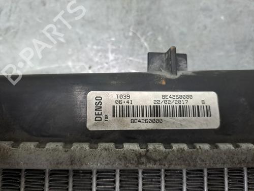 Water radiator OPEL COMBO Box Body/MPV (X12) 1.3 CDTI (B05) | BP31161483M31