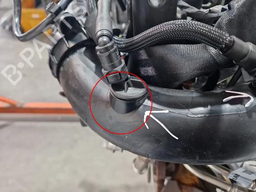 Engine FORD FOCUS IV (HN) 1.0 EcoBoost | BP31672673M1