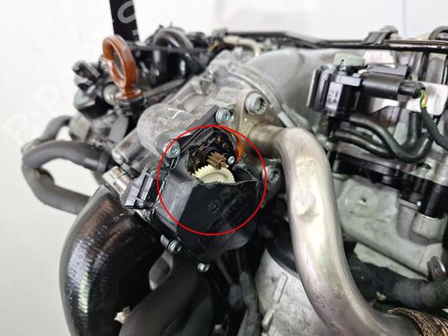 Engine VW GOLF VI (5K1) 2.0 TDI | BP31653959M1  - Image 9