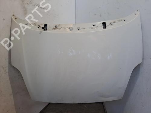 hood-fiat-punto-199_-2012-34194382 main image