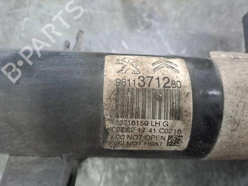 Left front shock absorber CITROËN C3 III (SX) 1.2 PureTech 82 | BP34242072M16 - Image 4