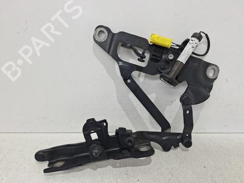 Used Hinge/Door check strap Hinge/Door check strap BMW 5 (F10) 535 d xDrive (313 hp) 34251199 34251199