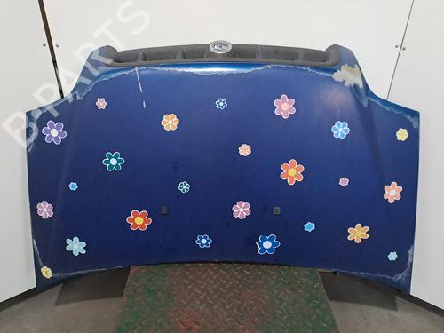 Capot Capot FIAT DOBLO MPV (119_, 223_) 1.9 JTD (223AXE1A) (100 hp) 34496203 34496203