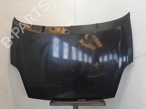 hood-fiat-grande-punto-199_-2005-36501641 main image