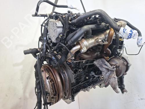 Used Engine Engine 36841883 36841883