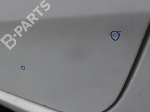 Left front door FIAT GRANDE PUNTO Van (199_) 1.3 JTD Multijet (199CXC1A) | BP6903271C2 