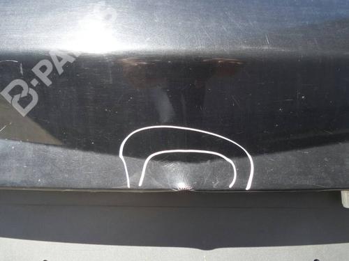 Tailgate RENAULT MEGANE II (BM0/1_, CM0/1_) 1.5 dCi (BM0F, BM0T, BM2B, CM0F, CM0T) | BP243000C6 