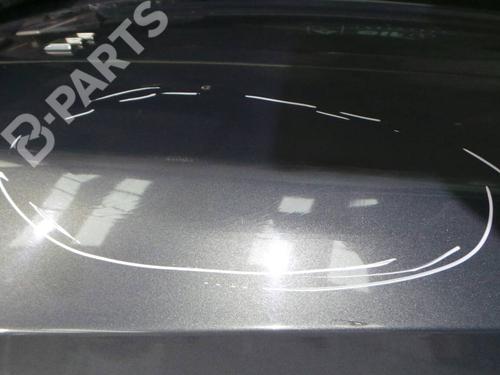 Tailgate RENAULT MEGANE II (BM0/1_, CM0/1_) 1.5 dCi (BM1E, CM1E) | BP319257C6 