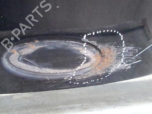 Tailgate FORD PUMA (EC_) 1.4 16V | BP7277277C6