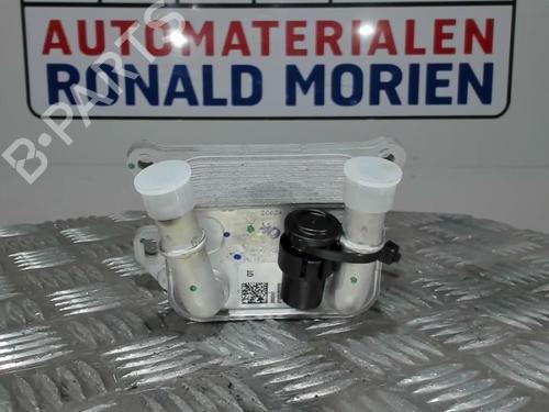 Used Oil radiator Oil radiator RENAULT MEGANE IV Hatchback (B9A/M/N_) 1.2 TCe 130 (B9MR) (130 hp) 40369191 40369191