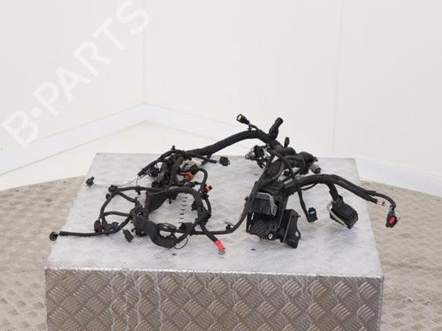 Used Wiring harness Wiring harness FORD B-MAX (JK) 1.0 EcoBoost (100 hp) 40399346 40399346